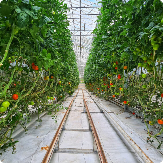 image 3 1 1 development