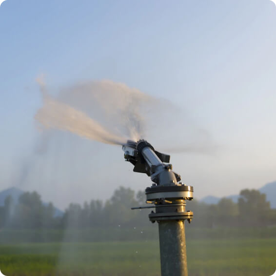 image 4 1 development