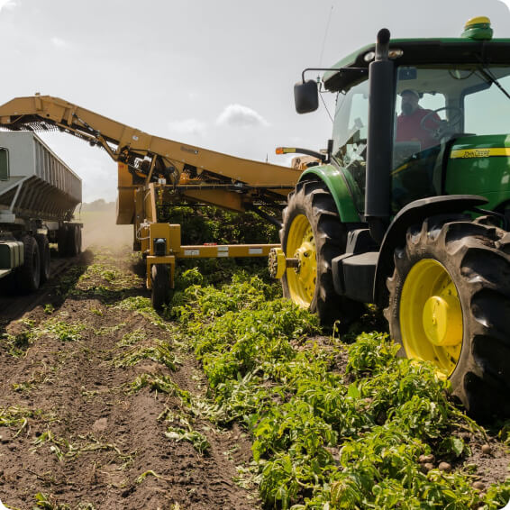 image 7 1 1 development